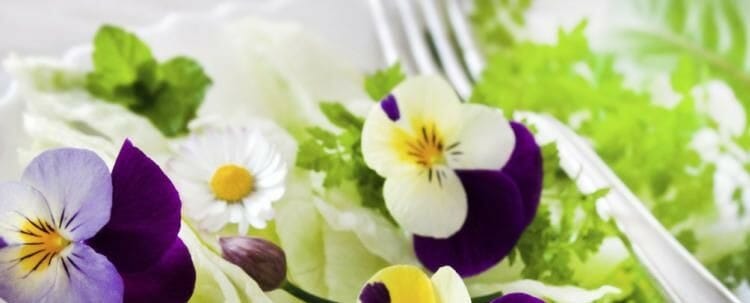 Consejos para consumir flores comestibles