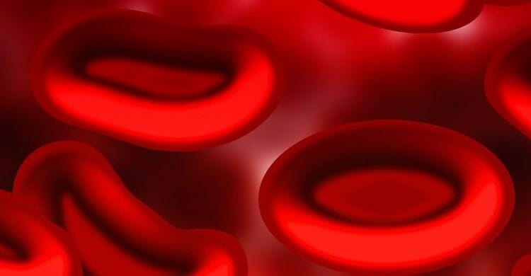 ¿Por qué es tan importante el tipo de sangre?