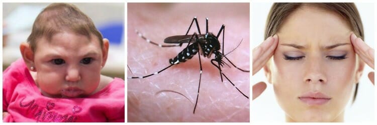 Prevenir el virus del Zika