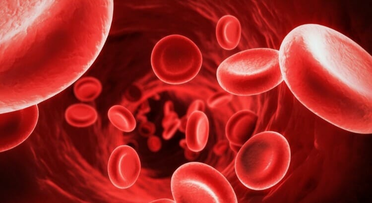 Síntomas de la anemia