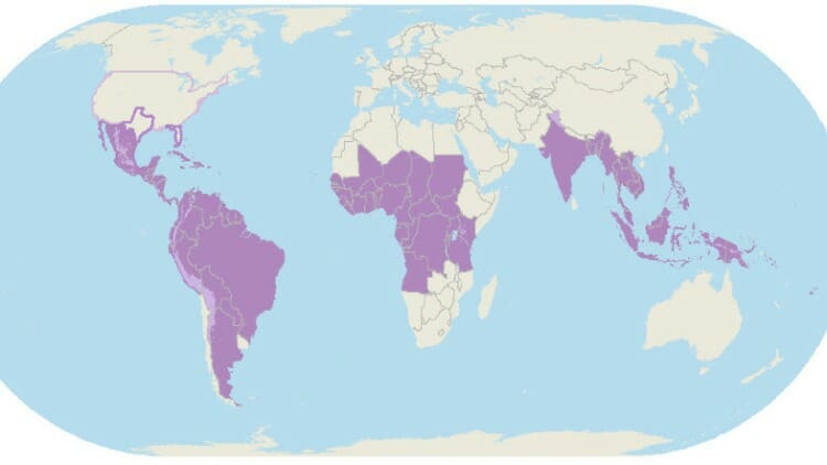 Zonas del mundo y virus del Zika