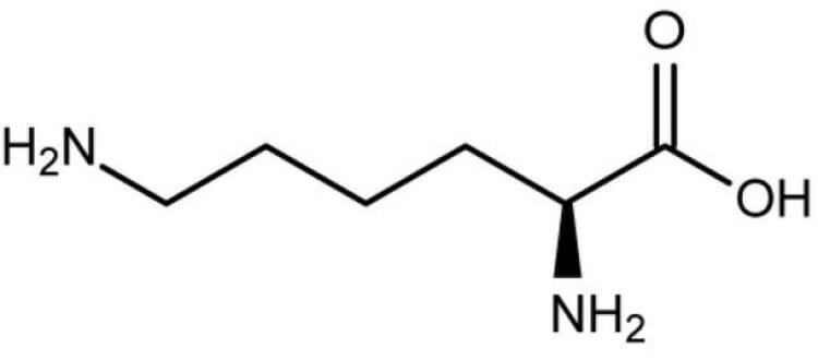Estructura química de la lisina