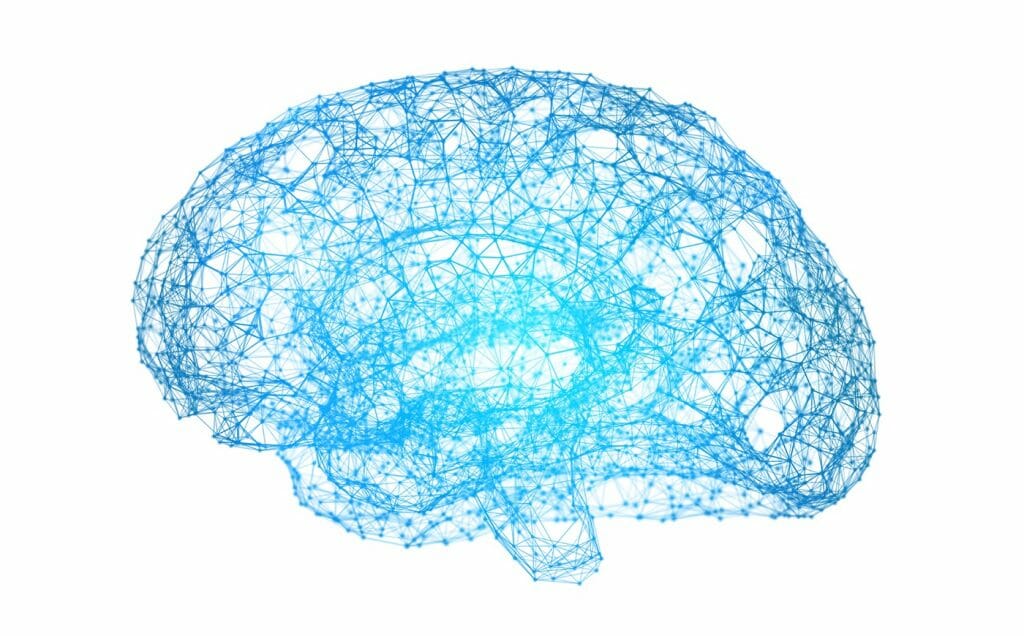 Neuropsicología: una ciencia enfocada en el cerebro