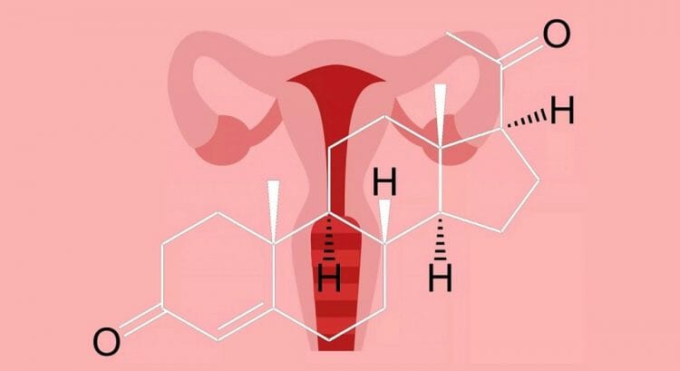 Que es la progesterona