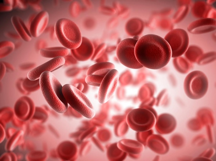 Proteínas bajas en sangre cuáles son sus valores y qué lo causa