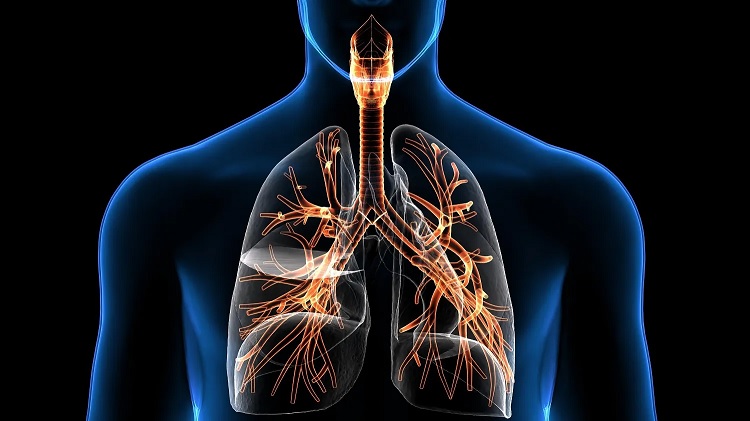 Agua en los pulmones síntomas causas y tratamiento