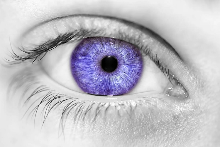 Síndrome de Alejandría la mutación de los ojos violetas